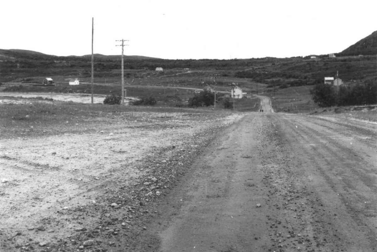 Oversiktsbilde over Bugøyfjord med bebyggelse og veien, 1968.