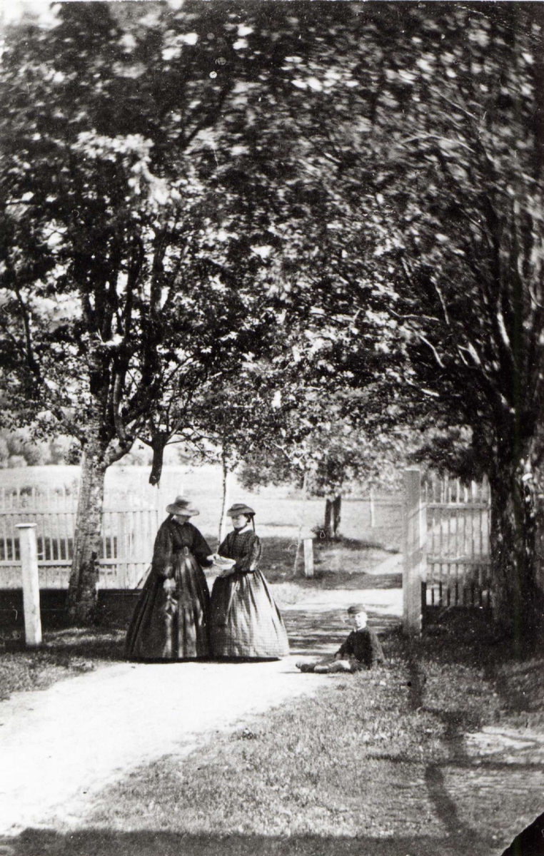 Familiegruppe, på gården Moen, Kviteseid, eid av propietær og landhandler Christian Munthe (1818-92), som også har tatt bildet 1856. Marthe Hansine (Hanne), Christopha Theodora (tanta Dora) og Anders (f. 1851) , fotografens pleiesønn, i hageområde med port og gjerder.