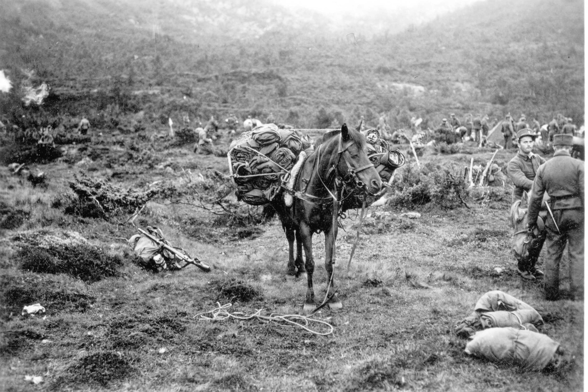 Militærmanøver - Bergsdalen i Granvin i Hordaland.