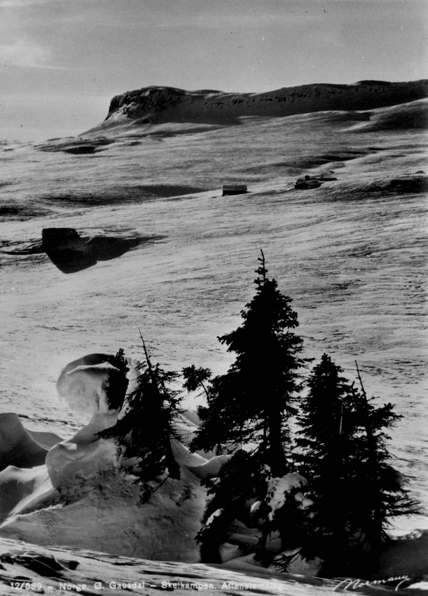 Avfotografert postkort. Snødekte smågraner i forgrunnen, bak sees snødekte hus og en åpen fjellvidde på Skeikampen i Østre Gausdal.