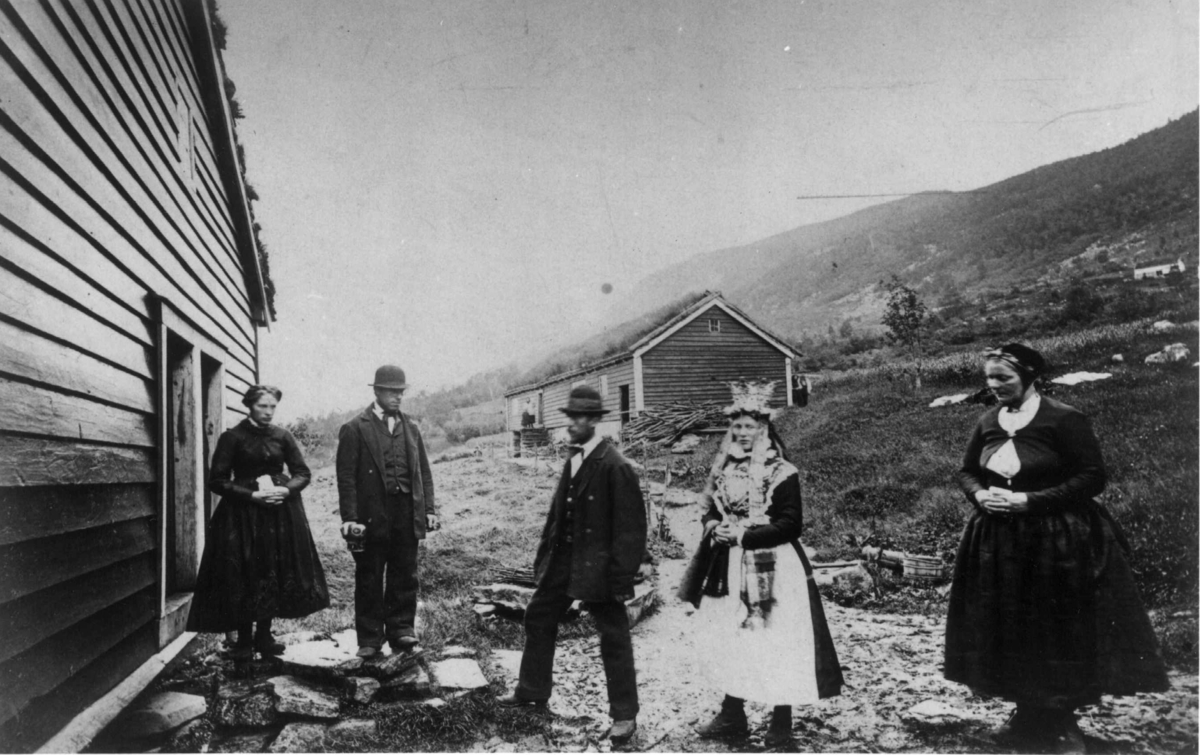 163. Brudeferd, Gjerdetunet, Straumgjerde, Sykkylven ca.1862. Brudepar, samt 3 personer utenfor hus på tun. Brudeparet er Elling P. Strømmegjerde og Louise Hansdtr. Fet. (Oppl. fra Sykkylven kommune, Møre og Romsdal. 1991). 
Inngår i serie "Norske Prospecter" (no.163) fot. av Marcus Selmer (1819-1900), Bergen.