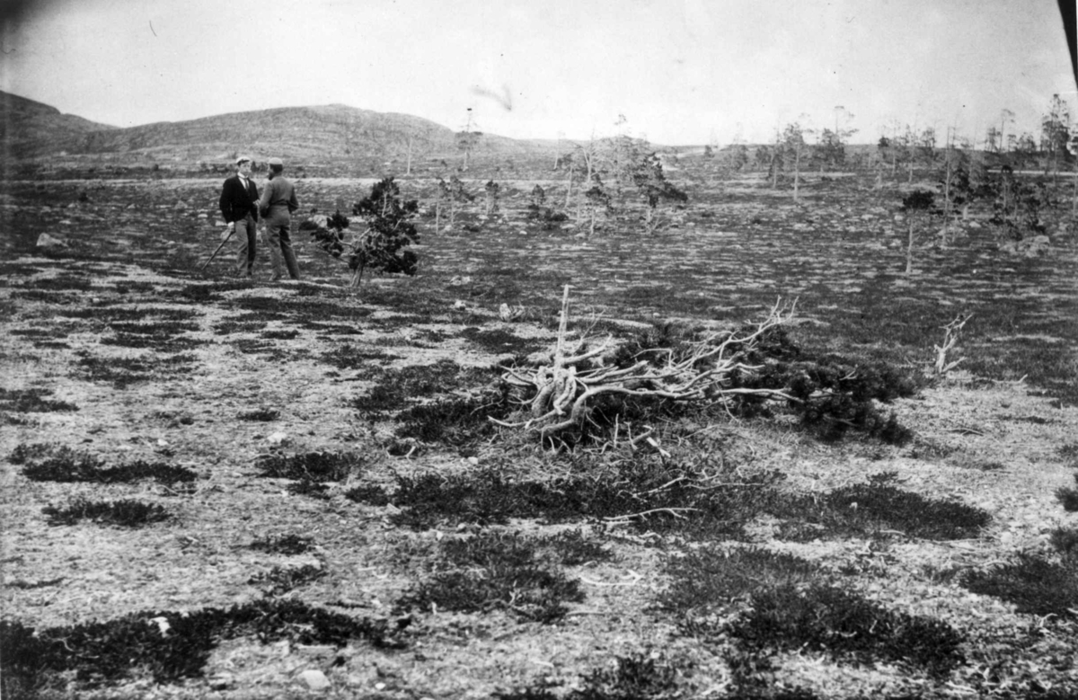 To menn i samtale i "skog" ved Bossekop 1892.