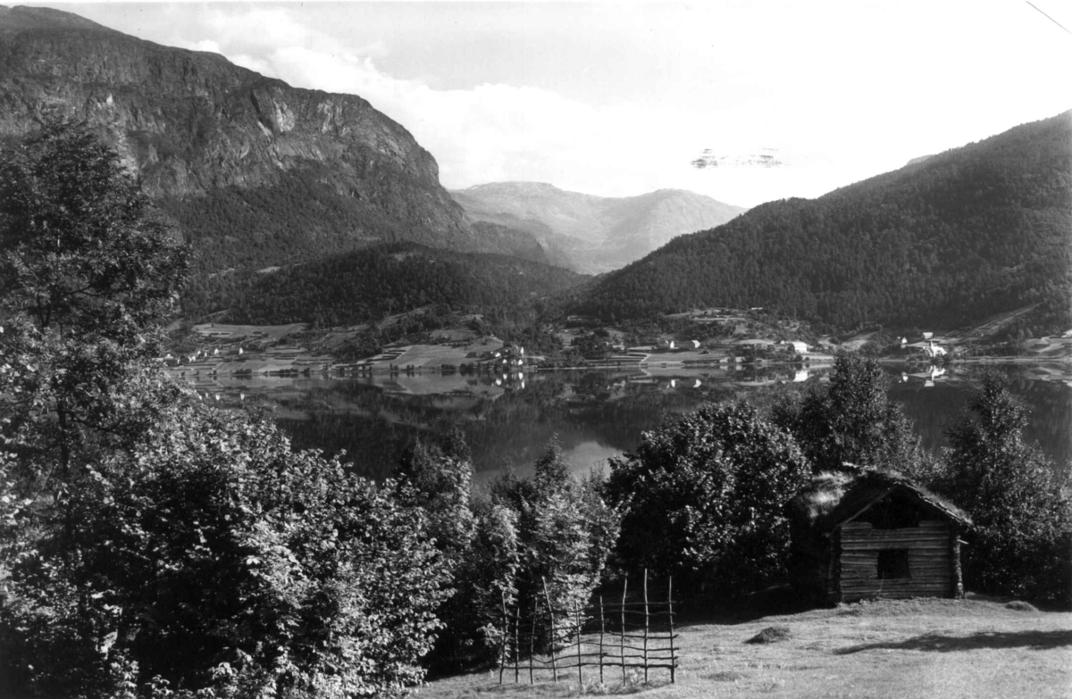 Voss 1939. Oversiktsbilde.  Gårder rundt Vangsvatnet. Høysel i forgrunnen. Skog og fjell i bakgrunnen.