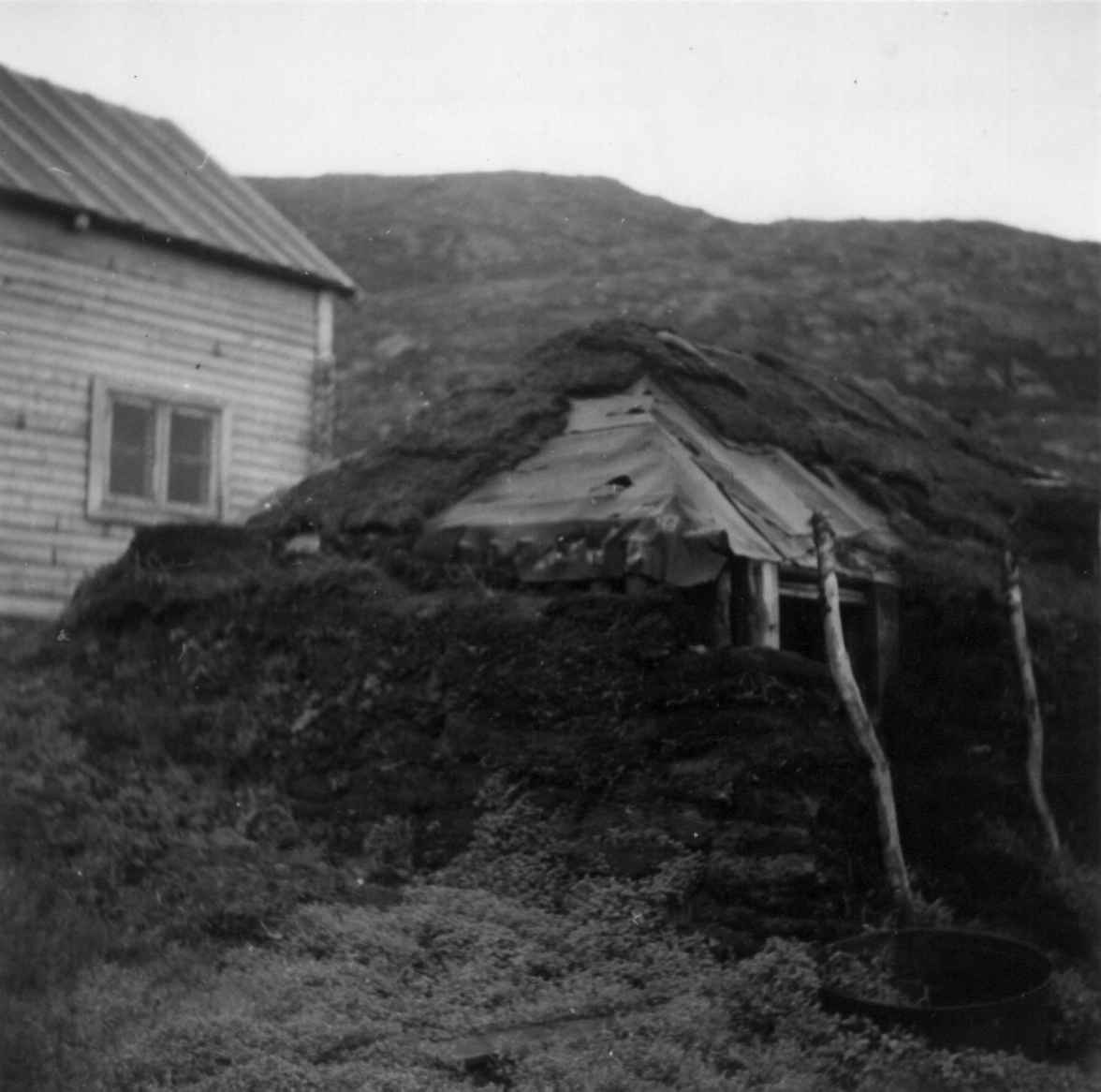 Provisorisk fjøsgamme bygd etter krigen, i bakgrunnen en bolig. Mårøyfjord 1949.