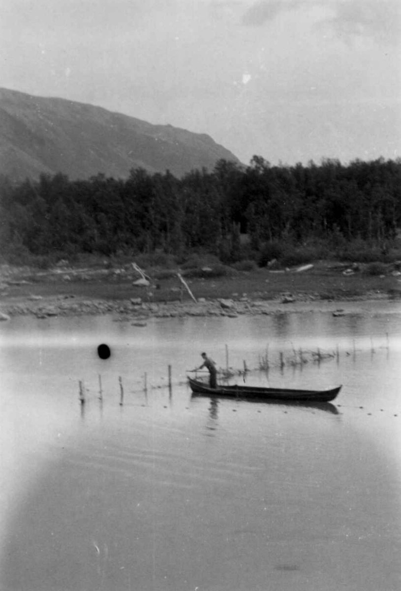 En person i båt inspiserer et laksestengsel. Tana 1948.