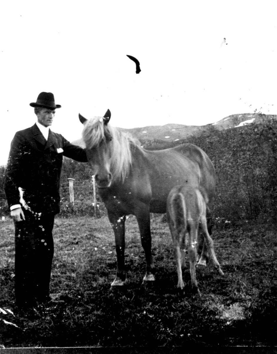 Jens Otterbech med hest og lam.