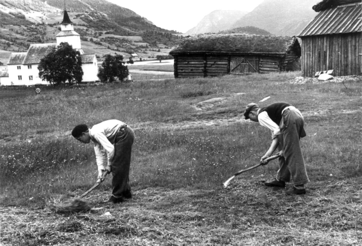 Valle 1939. Torleiv Åkre og sønnene hans slår høy med stuttorvsljå på den gamle "Sjei-vodden". En kirke i bakgrunnen.