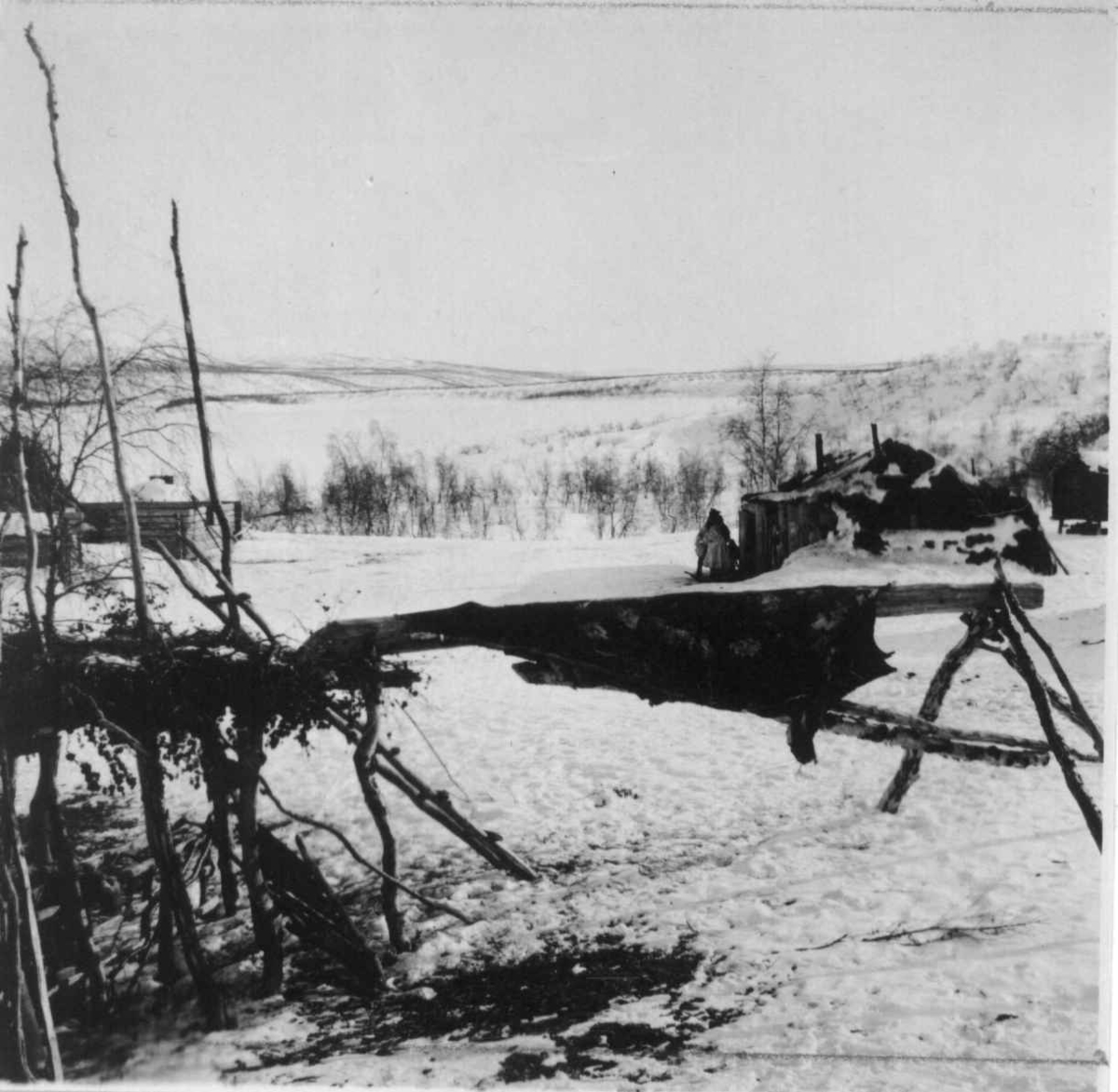 Del av høystakk (luovve) (tomt) og vannrett staur (holgâ) til tørking av skinn. Elle-Marjas Gård i Mieronjavrre 1916.