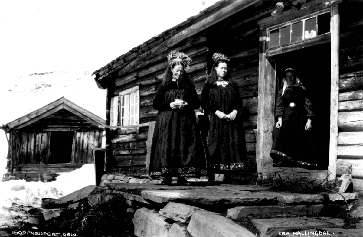 Kvinnedrakt, Ål, Hallingdal.  Tre kvinner står foran inngangen til et  tømmerhus.