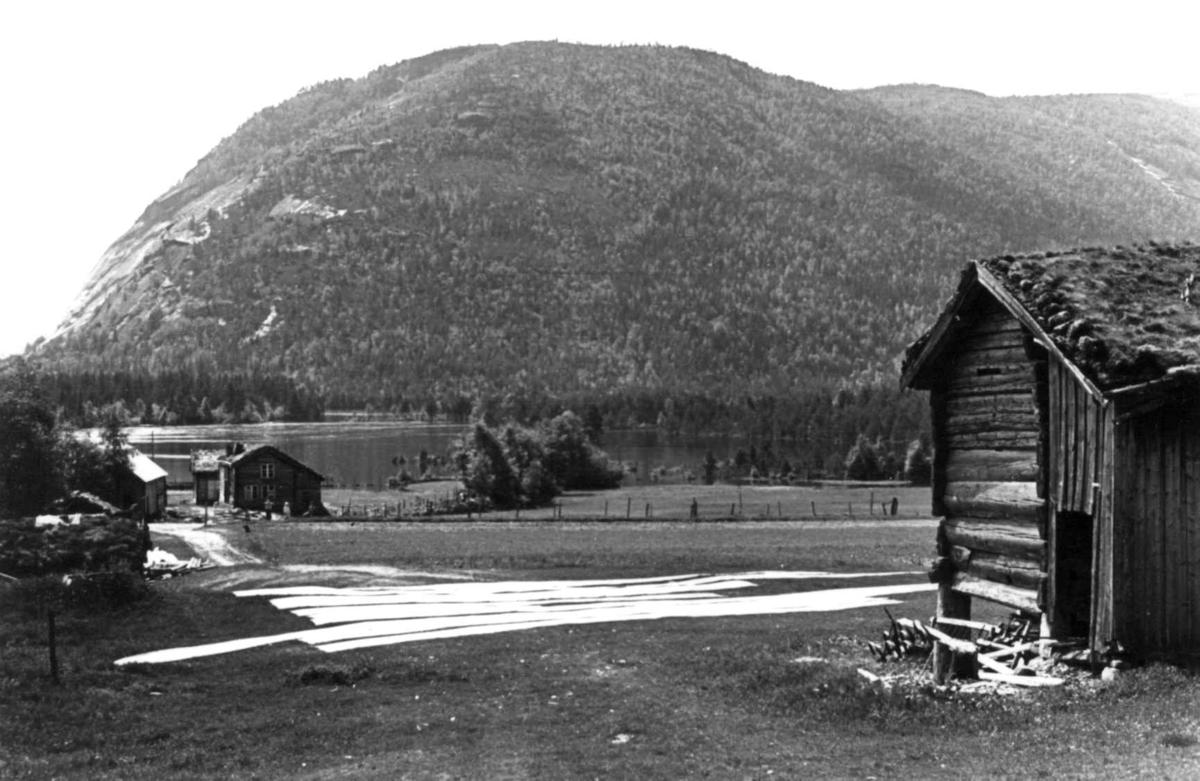 Valle, 1939. Stampet vadmel ligger til tørk på en gressvoll, et uthus i forgrunnen.