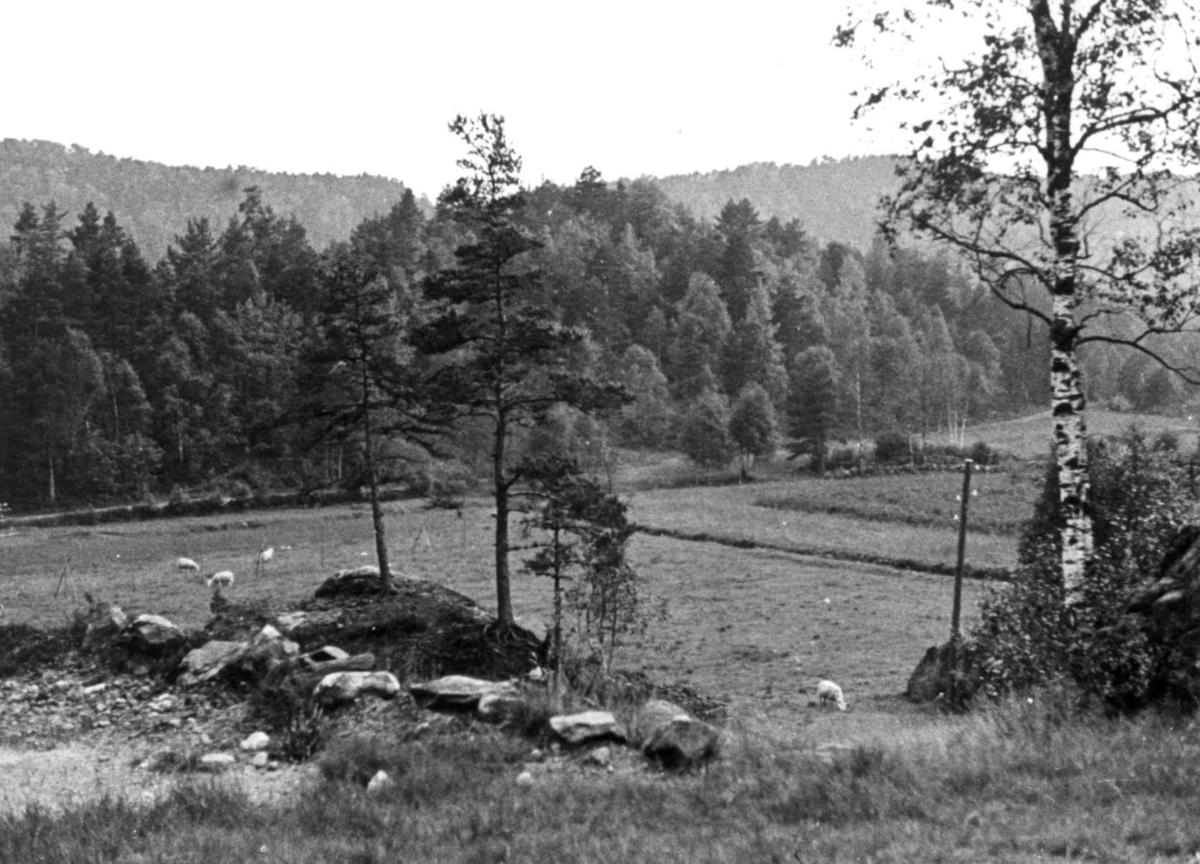 Utsikt fra Eikså gård i Marnadal 1941.