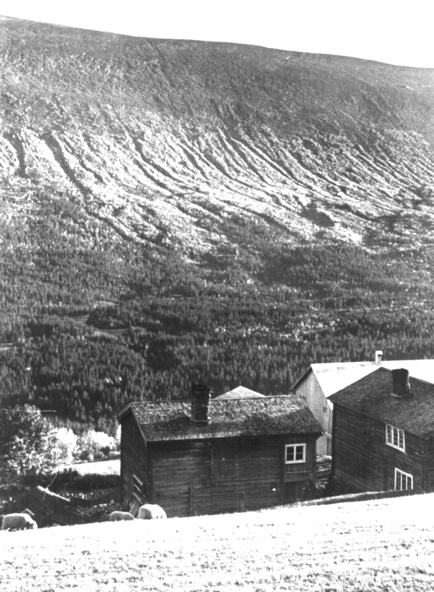 Bråtådal, Skjåk, Oppland 1941. Oversiktsbilde med bygninger på Slette gård.