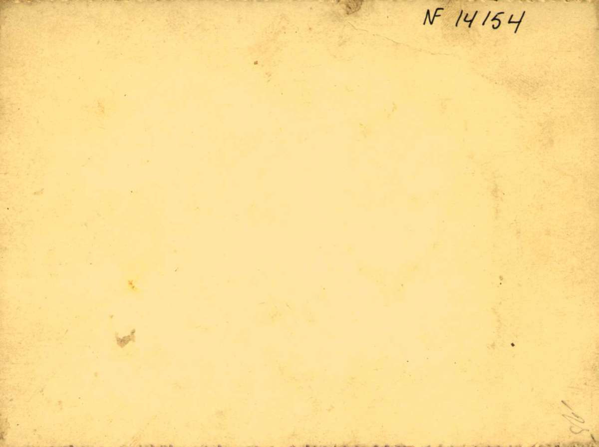 Postkort, Bursdagshilsen. Blomsterkrans med fioler. Datert 31.01.1897.