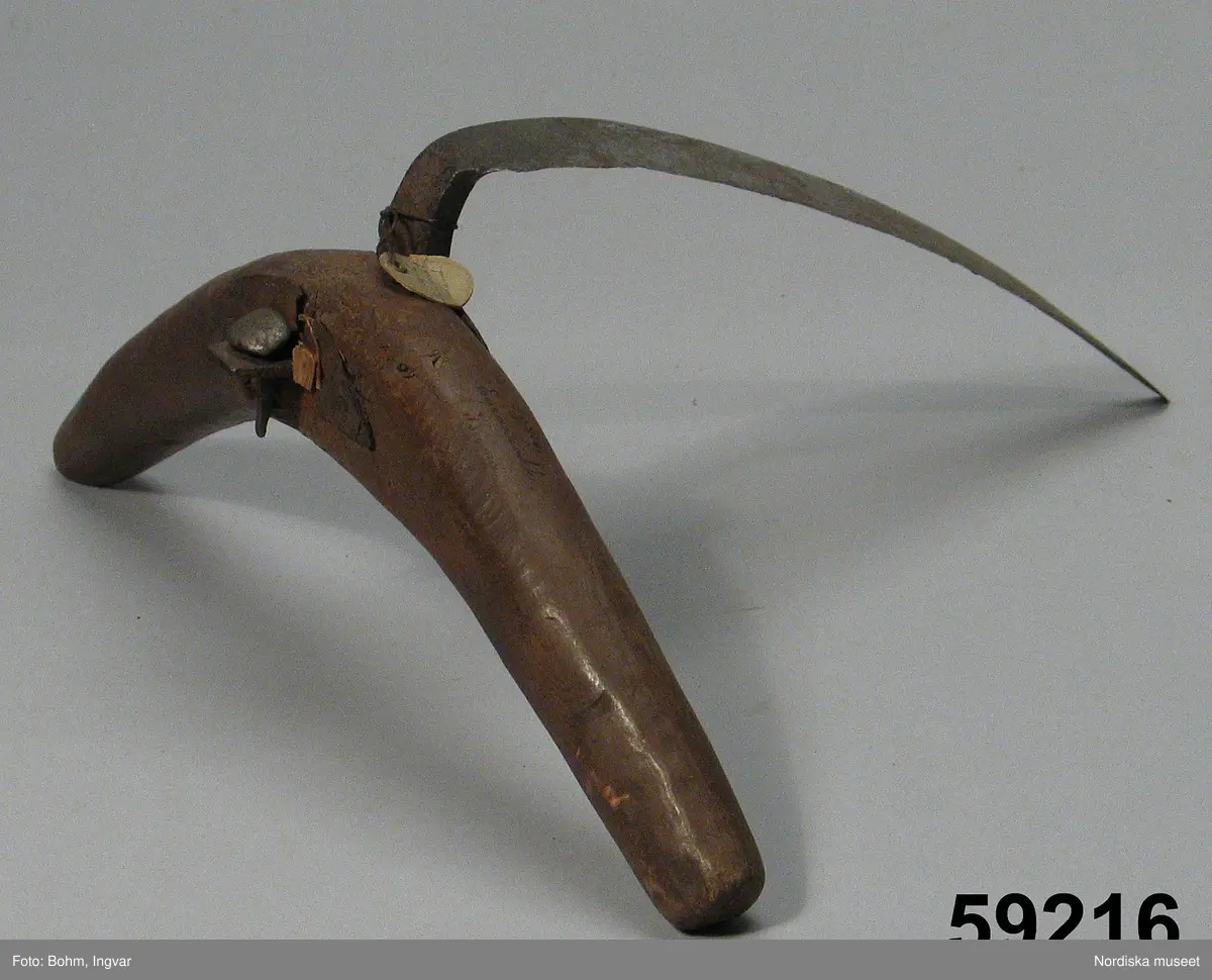 Torvkniv