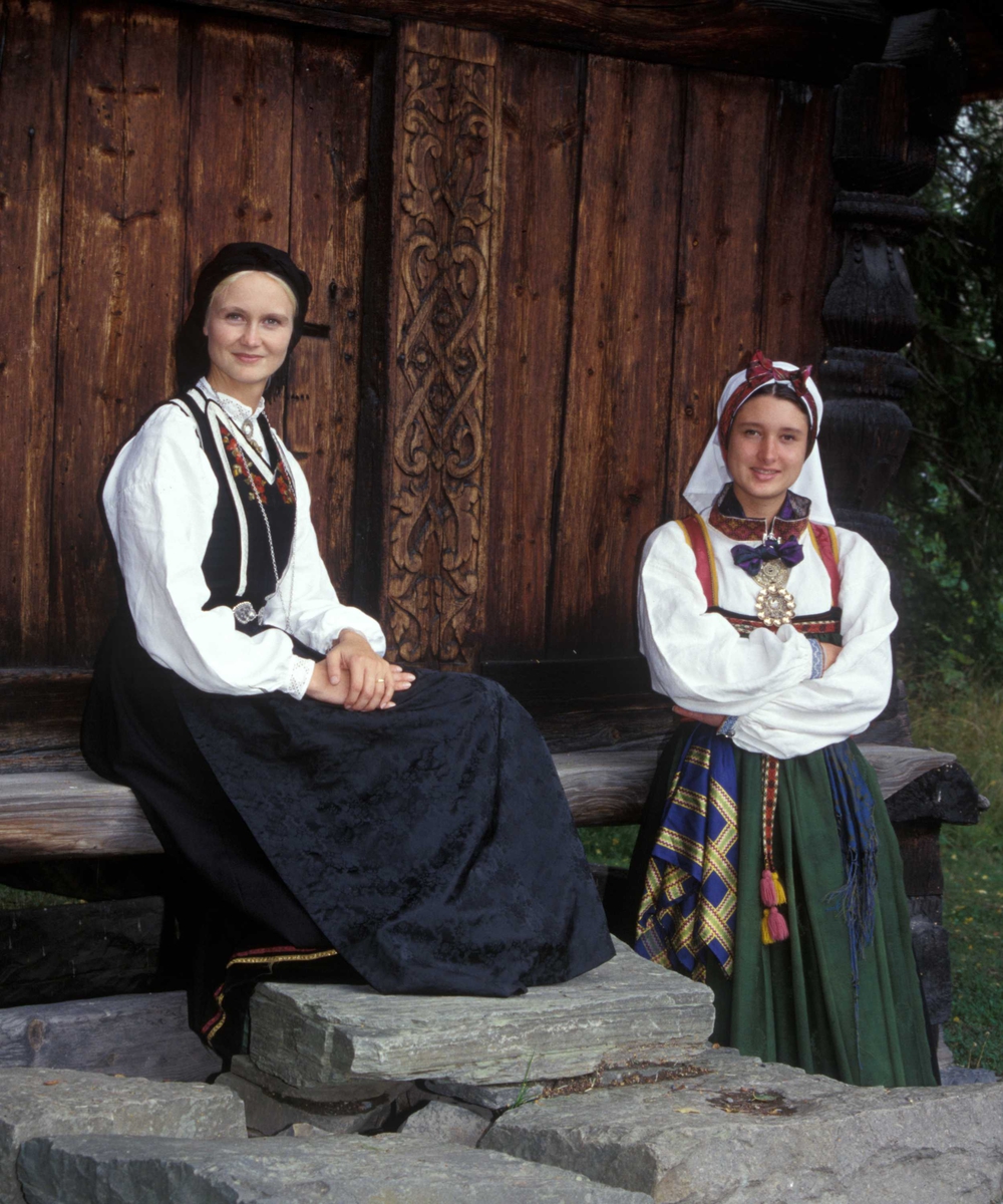 Verter i drakt fra telemarken.