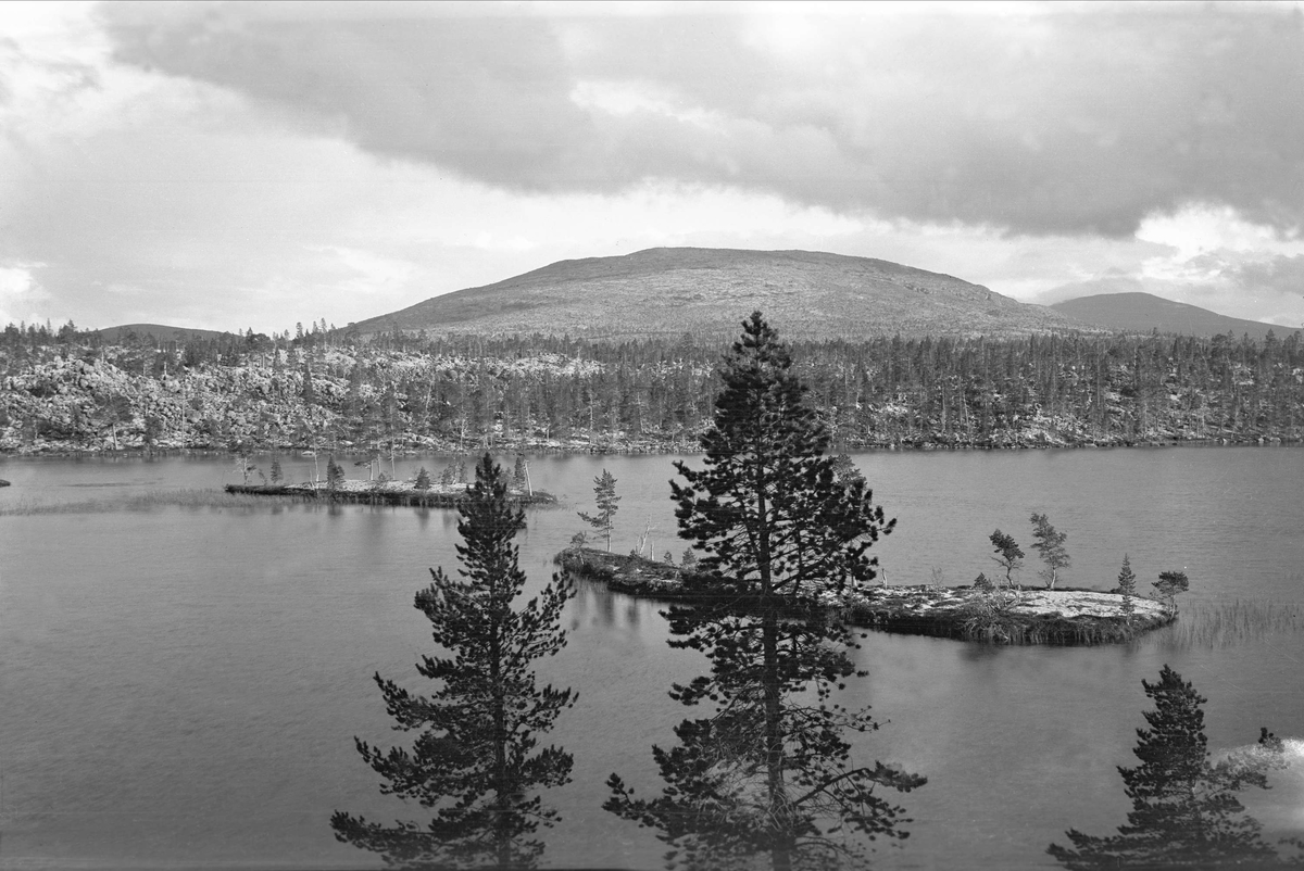 To små øyer ligger i innsjøen Buddhåen, Røa, Femundsmarka.