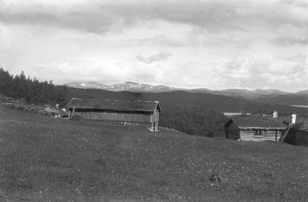 Hytte til øyelege Birger Lycke ligger nord for Aursjøen, Skjåk, Oppland.