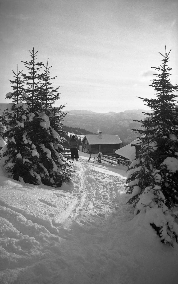 Vintermotiv. Utsikt fra skiløype ved gården Ligardshaugen 1930-1940. En kvinnelig skiløper ser ned mot gården og bygda.