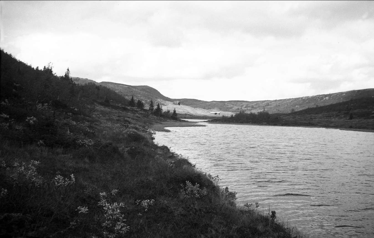 Utsikt over Jøslivatn, Sigdal. Bebyggelse i bakgrunnen.