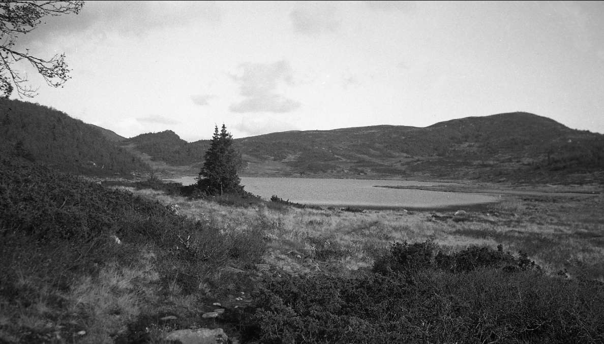 Utsikt over Kvelsavatn, Eggedal 1940.