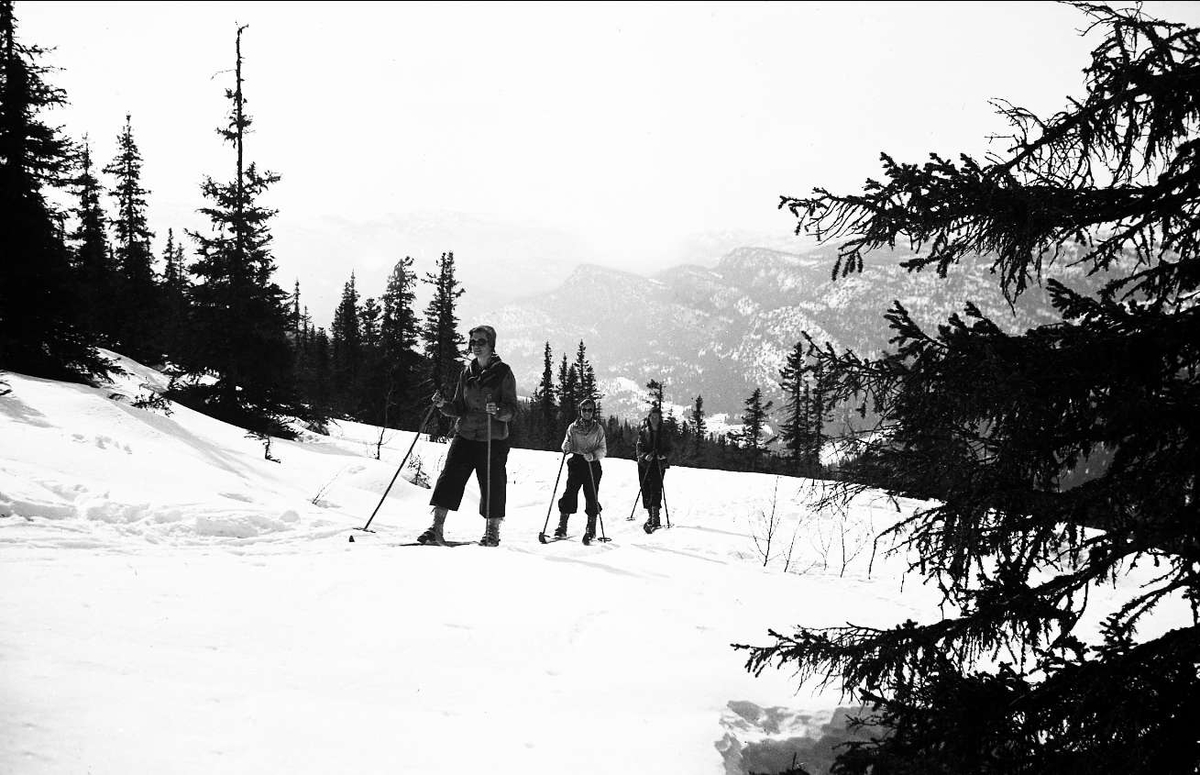 Vintermotiv. Skiløpere ved Ligardshaug, Eggedal 1942.
Sølandsfjellet ses i bakgrunnen.