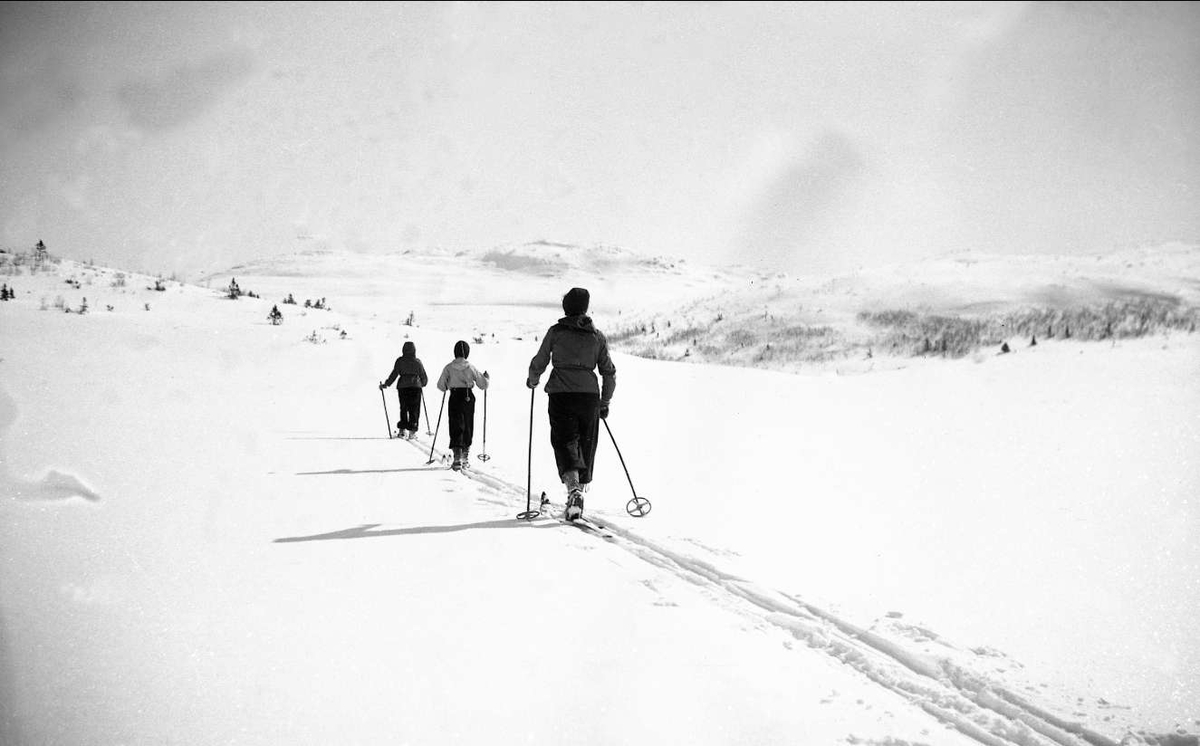 Vintermotiv.  Dordi Arentz på skitur i Eggedal sammen med døtrene Guri og Siri i 1942. I bakgrunnen ses Holmevassnatten.