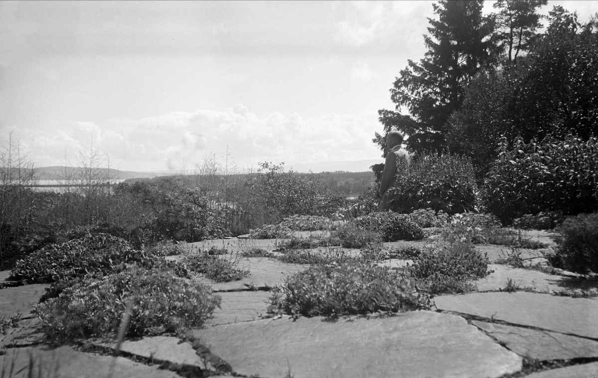 Utsikt over hagen til Vang prestegård 1943.