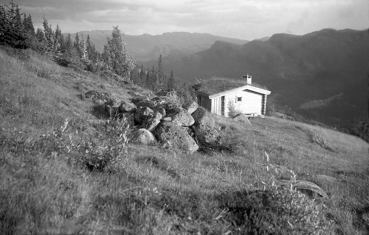 Badstue på hytta Ligardshaugen, Eggedal. Fotografert 1947.