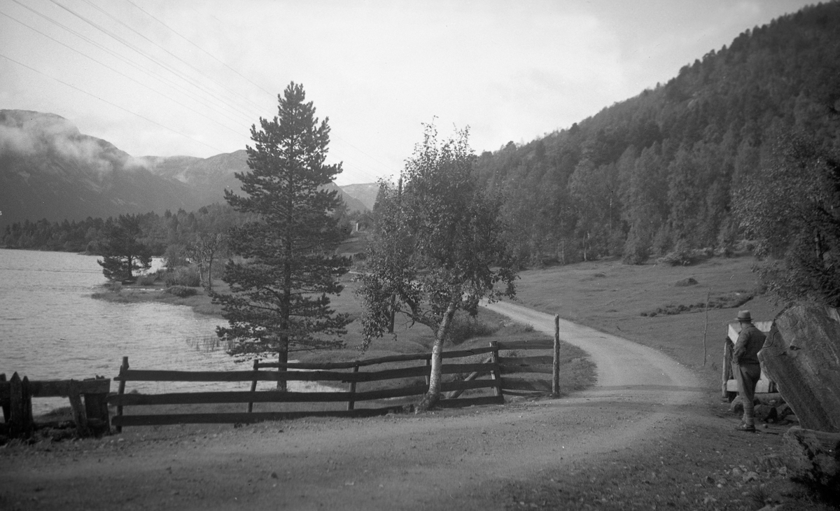 Motiv fra ukjent sted med fjell, vann og skog. Fotografert under biltur i 1947.