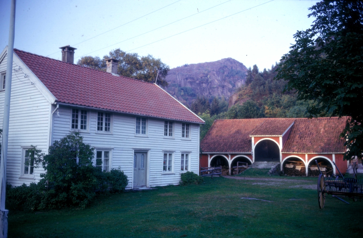 Bebyggelse ved kysten. Fra Bordviga. Austad, Lyngdal.