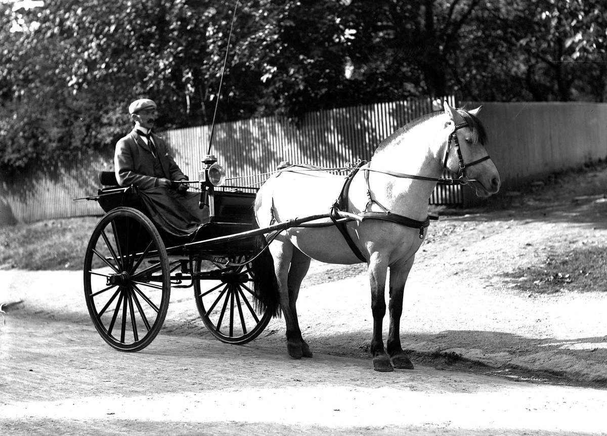 Mann kjører med hest og vogn.