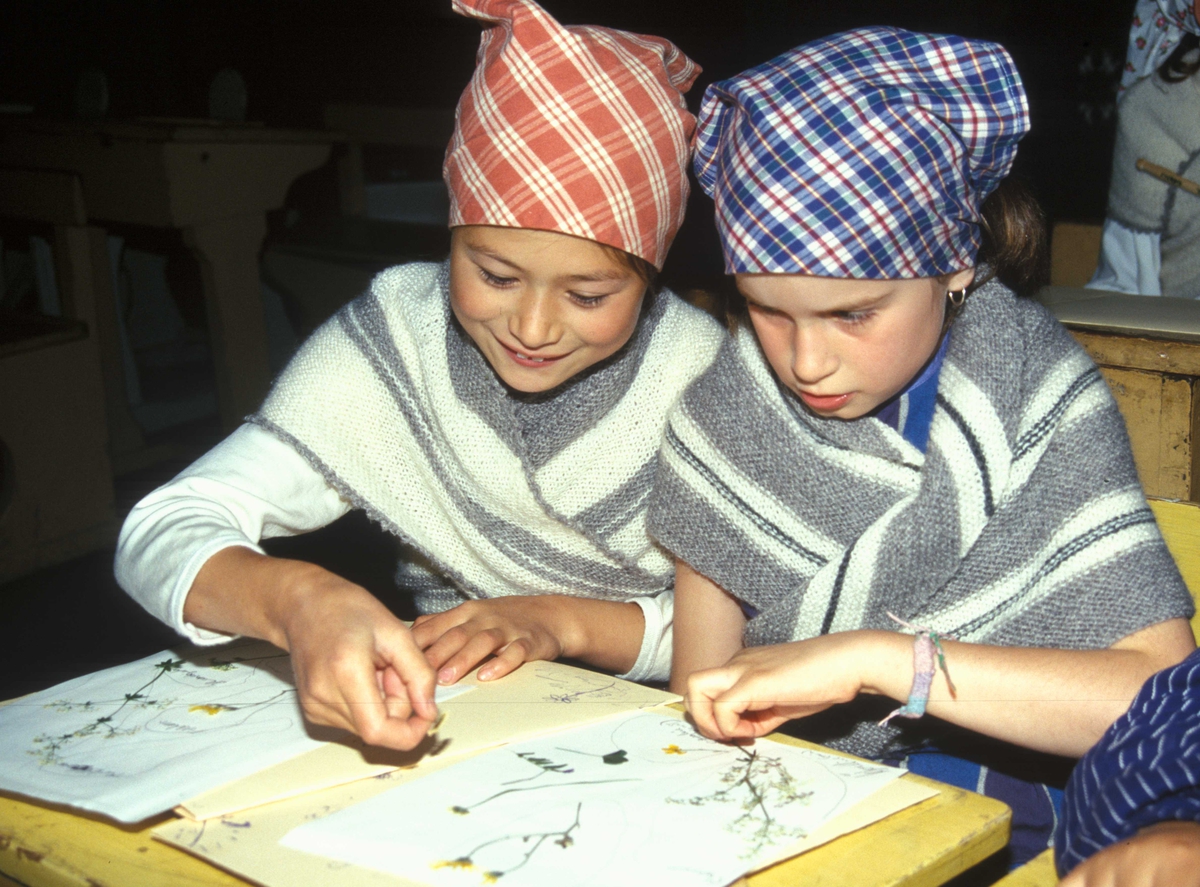 Levendegjøring på museum.
Ferieskolen juni 2002. I Skolestua bygning nr. 196 på Norsk Folkemuseum. Elevene presser blomster og lager herbarium.