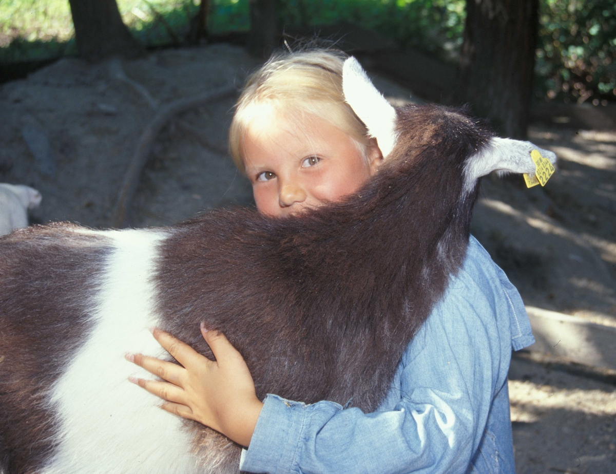 Barn i drakt på besøk hos geitene i friluftsmuseet år 2002.