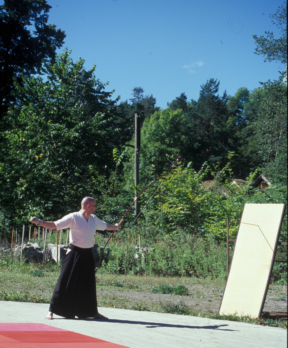 Møt verden på Norsk Folkemuseum, Internasjonal dag.
Oppvisning av  kampsport på festplassen.