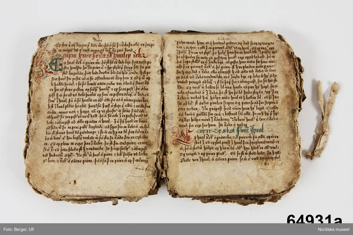 Huvudliggaren:
"Handskrift fr. Island.
a) Den gamla Jonboken (lagbok), afskrifven i Pikk(u)aboe [se huvudliggaren] 1622, uppgift af R.A [Rolf Arpi]; med målade initialer m.m.. Ej inb. Kvarto (storlek) Innehåller 130 blad.  Mycket söndrig, början och slutet saknas.
b) samma bok, afskrift, inb. i skinnklädda pärmar; kvarto [storlek], Innehåller 222 blad, hvaraf 4 blanka. Några blad söndriga och lagade i kanten. 
c) Eyrbyggia redur Förnesinga Saga, inb. i rödaktigt pergament; folio. innehåller 114 blad, hvaraf 2 blanka. Slutet saknas.
Ink. af prästen Helgi Sugurdsson i Akranes, Island, jämte 64.928-65.103 [...] ank. 27/1 1888. Bil. 34.1889."