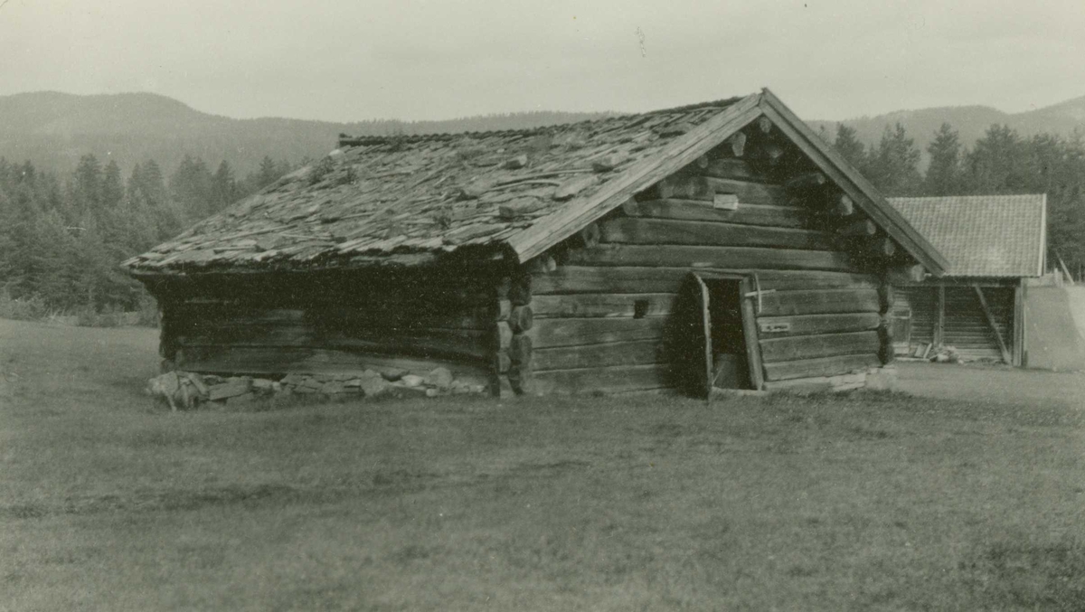 Fjøs, Rostad, Rollag, Buskerud. Fotografert 1928.