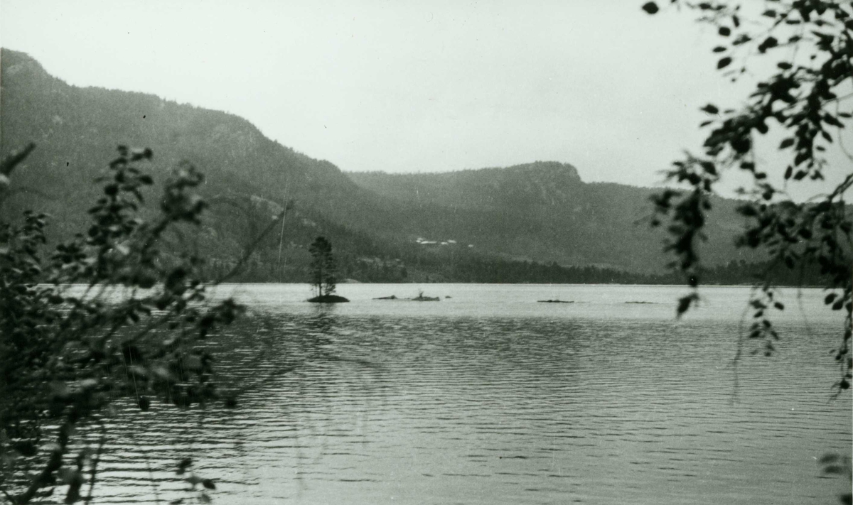 Landskap, Vehusgrenda, Nore, Nore og Uvdal,  Buskerud.