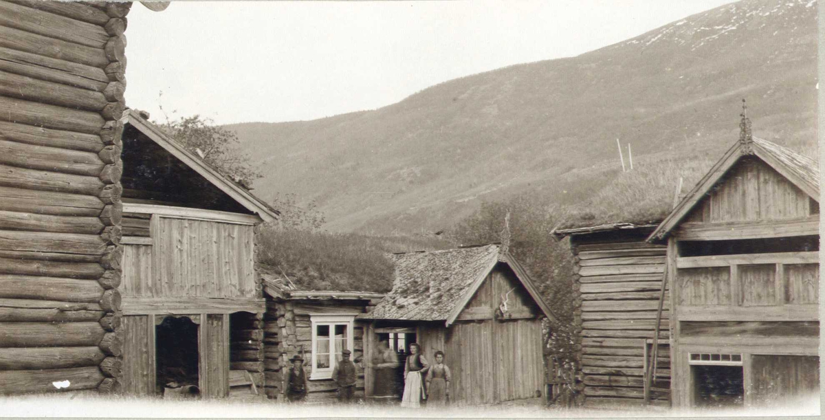 Gårdstun, Sygard Valle, Vågå, Oppland. Fotografert 1909. Kvinner og menn stående i døråpning.

