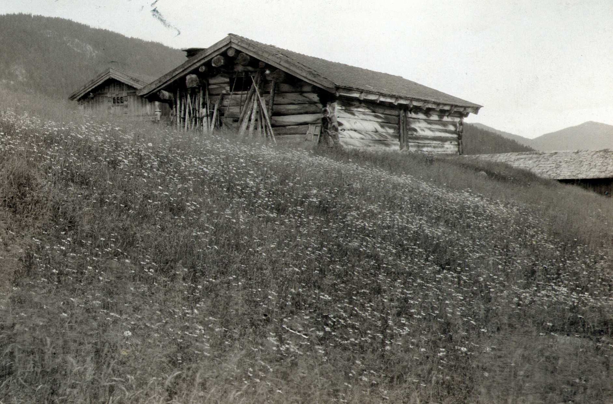 Fjøs, Jørisdal, Hovin, Tinn, Telemark. Fotografert 1907. 