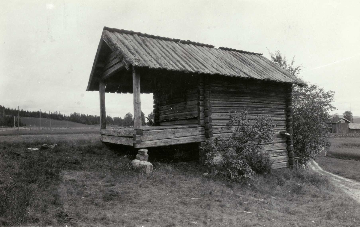 Melstrøm, Strøm Mellom, Sør-Odal, Hedmark. Kjone sett fra siden.