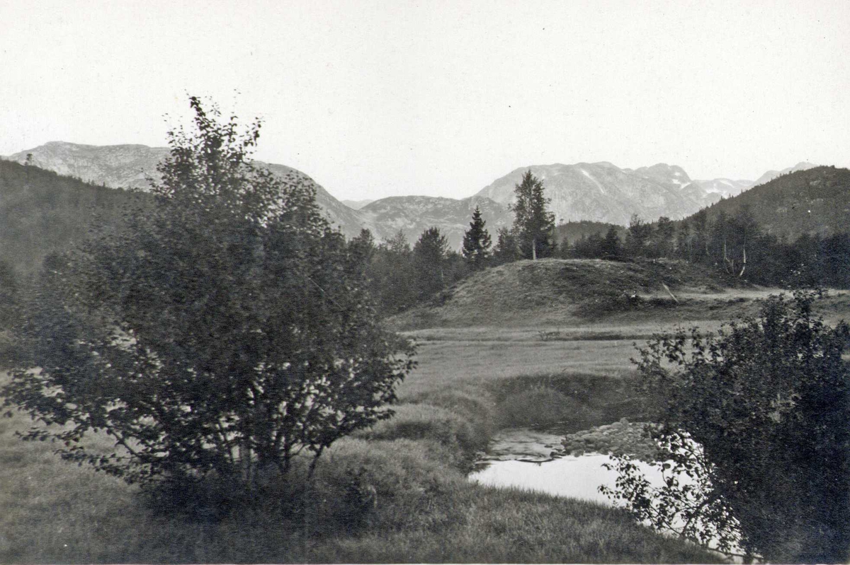 Kirkehaugen, Botnedalen, Tokke, Telemark.