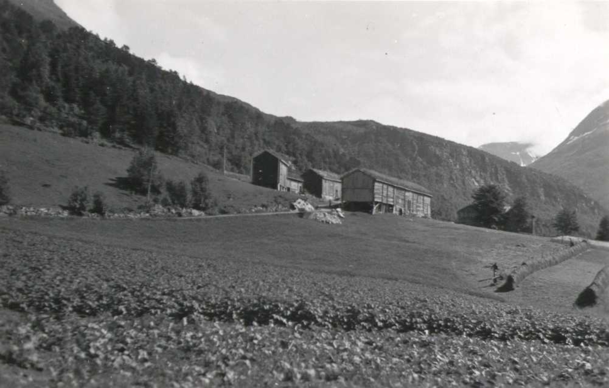 Gårdstun, Valset, Sunndal, Ålvundeidet, Møre og Romsdal. Fotografert 1938.