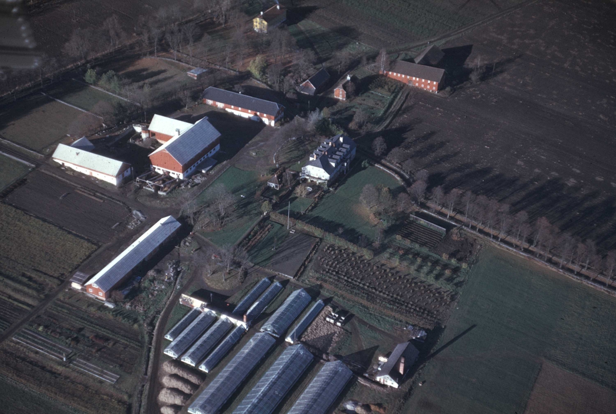 Gården Grefsheim, Flyfoto av gården med bl.a. gartneri.