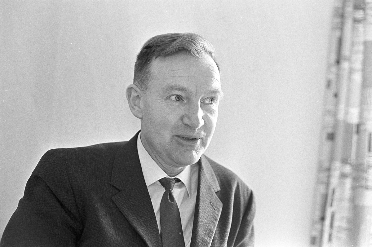 Serie bilder av Bjarne Bjørndal, universitetslektor. 