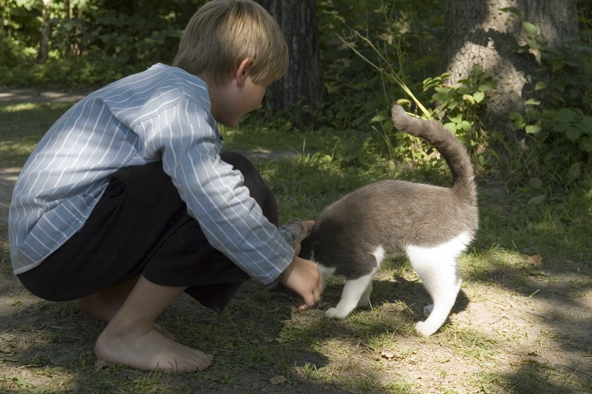 Levendegjøring på museum.
Mathias leker med en katt.
Ferieskolen uke 32.



Norsk Folkemuseum, Bygdøy.