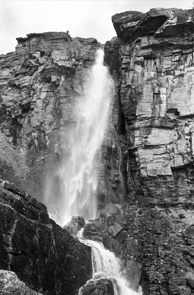 Serie. Ringebufjellet ved Rondablikk mm., Ringebu, Oppland.