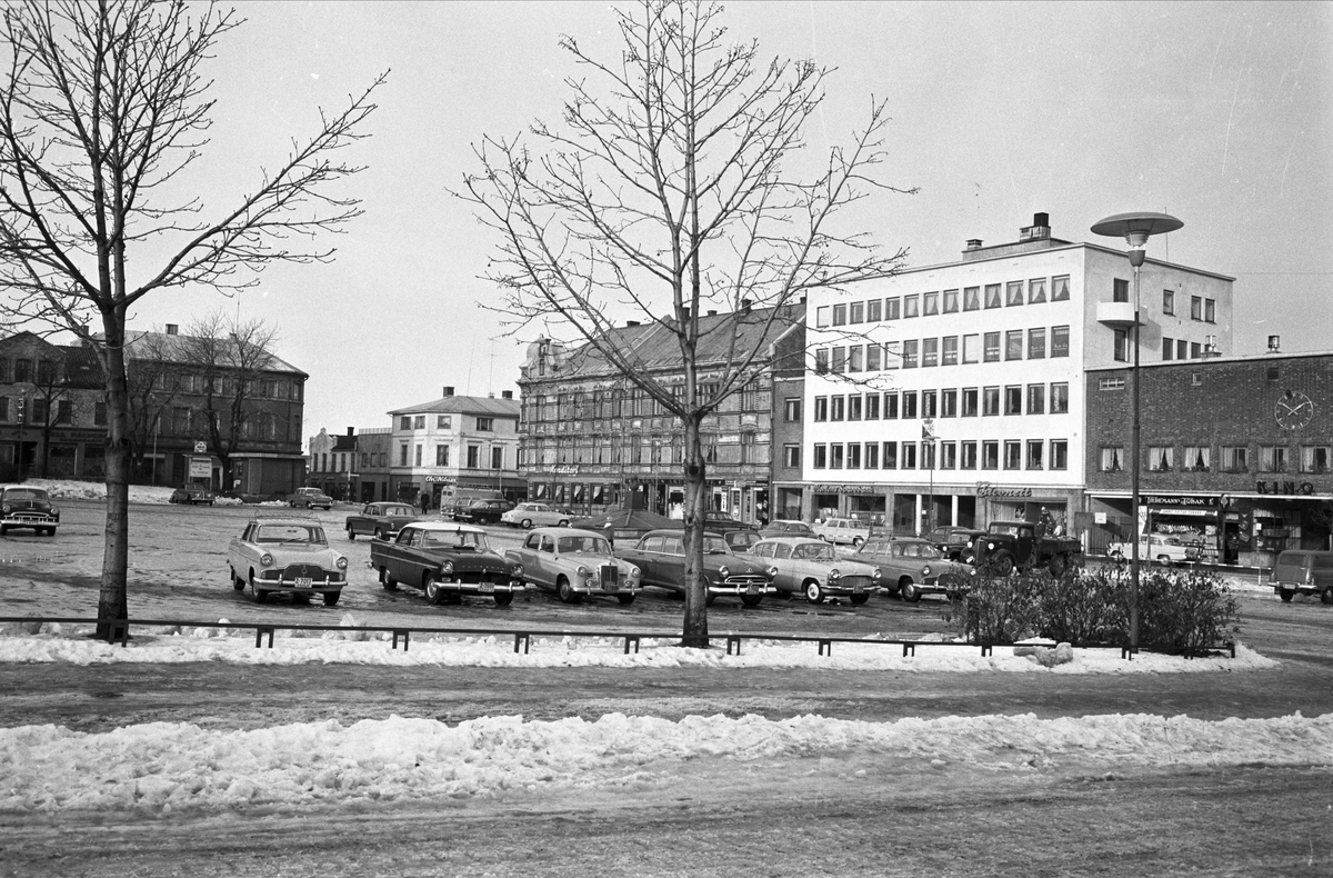 Serie. Fra Horten sentrum og Bastø-fergen, Horten, Vestfold. Fotografert febr. 1961. Skulptur av lekende bjørn.