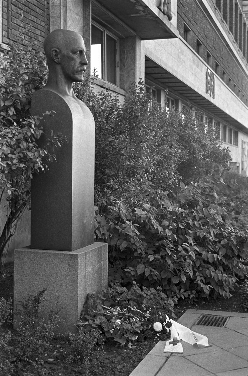 Serie. Røde Kors jubileum, krans på Fridtjof Nansens statue ved Rådhuset, Oslo. Fotografert 1965.