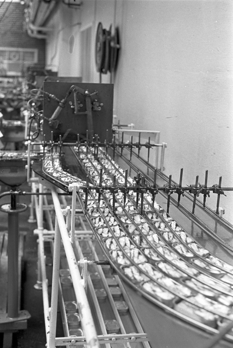 Serie. Fabrikkarbeidere og fabrikasjon på Bjelland Fabrikker, Stavanger. Fotografert aug. 1965. 