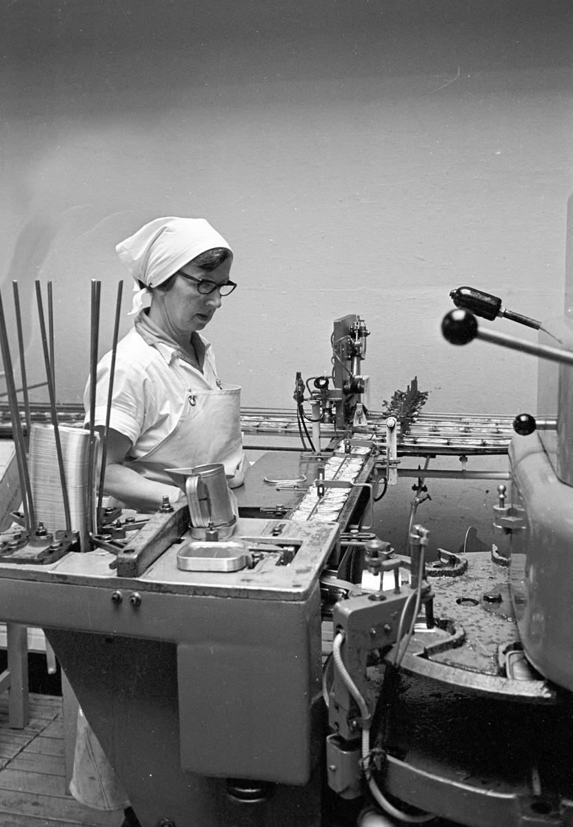 Serie. Fabrikkarbeidere og fabrikasjon på Bjelland Fabrikker, Stavanger. Fotografert aug. 1965. 